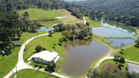 Campo Largo Camarinhas Rural Venda R$9.600.000,00 10 Dormitorios  Area do terreno 529133.00m2 